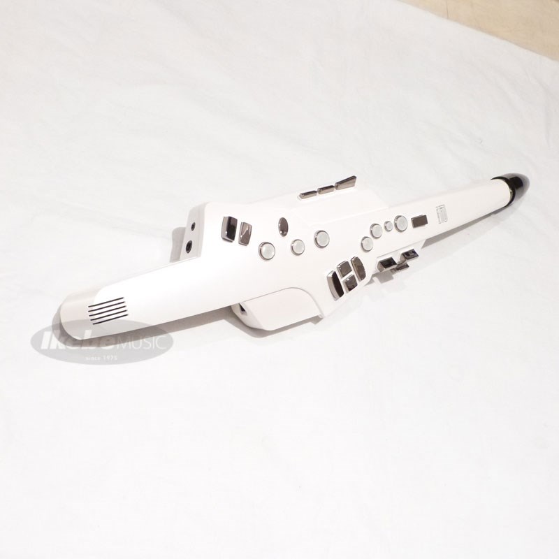 Roland Aerophone AE-10の画像